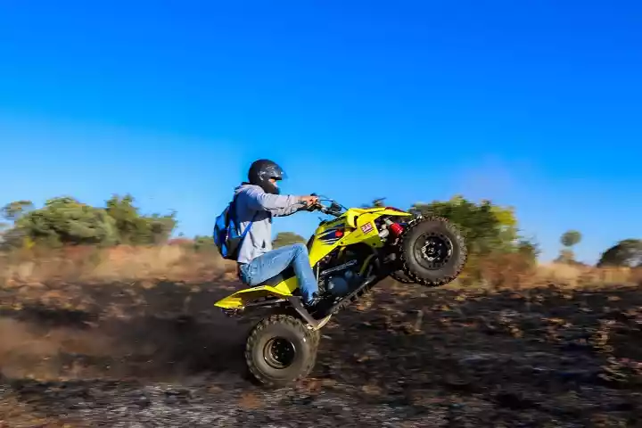 which atv should you buy