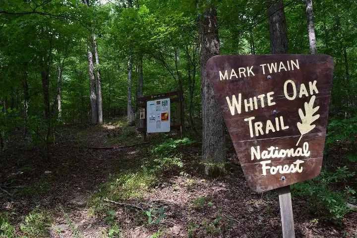 mark twain national forest