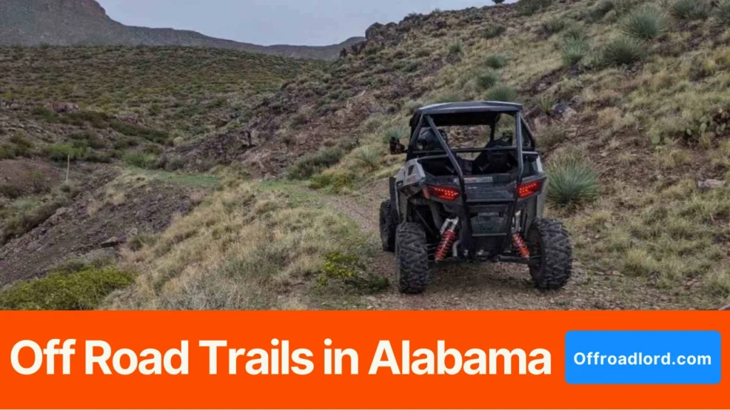 UTV and ATV riders on a forest trail in Alabama near an OHV trailhead